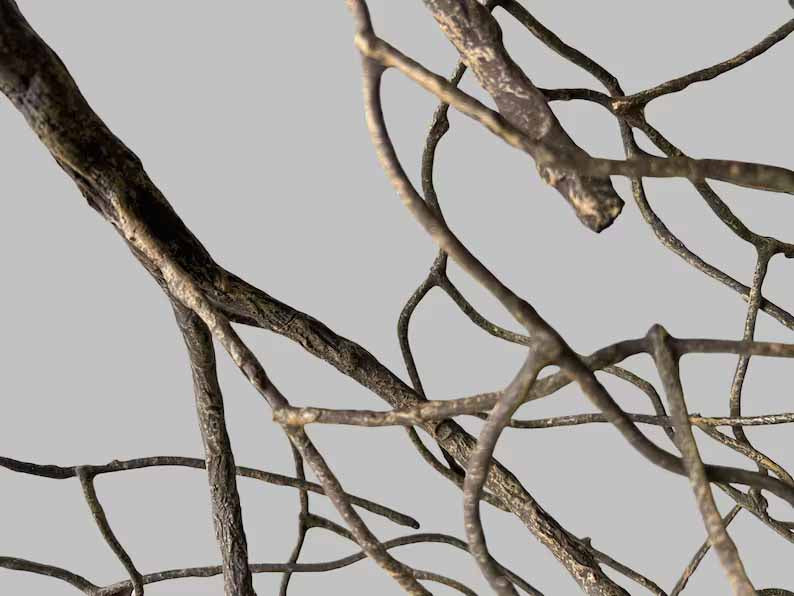 YiDao Natural Branch Chandelier