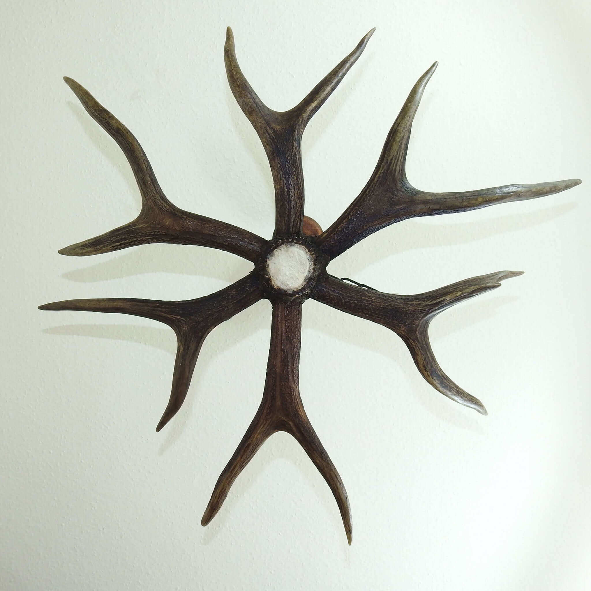 Real 6 lights antler chandelier