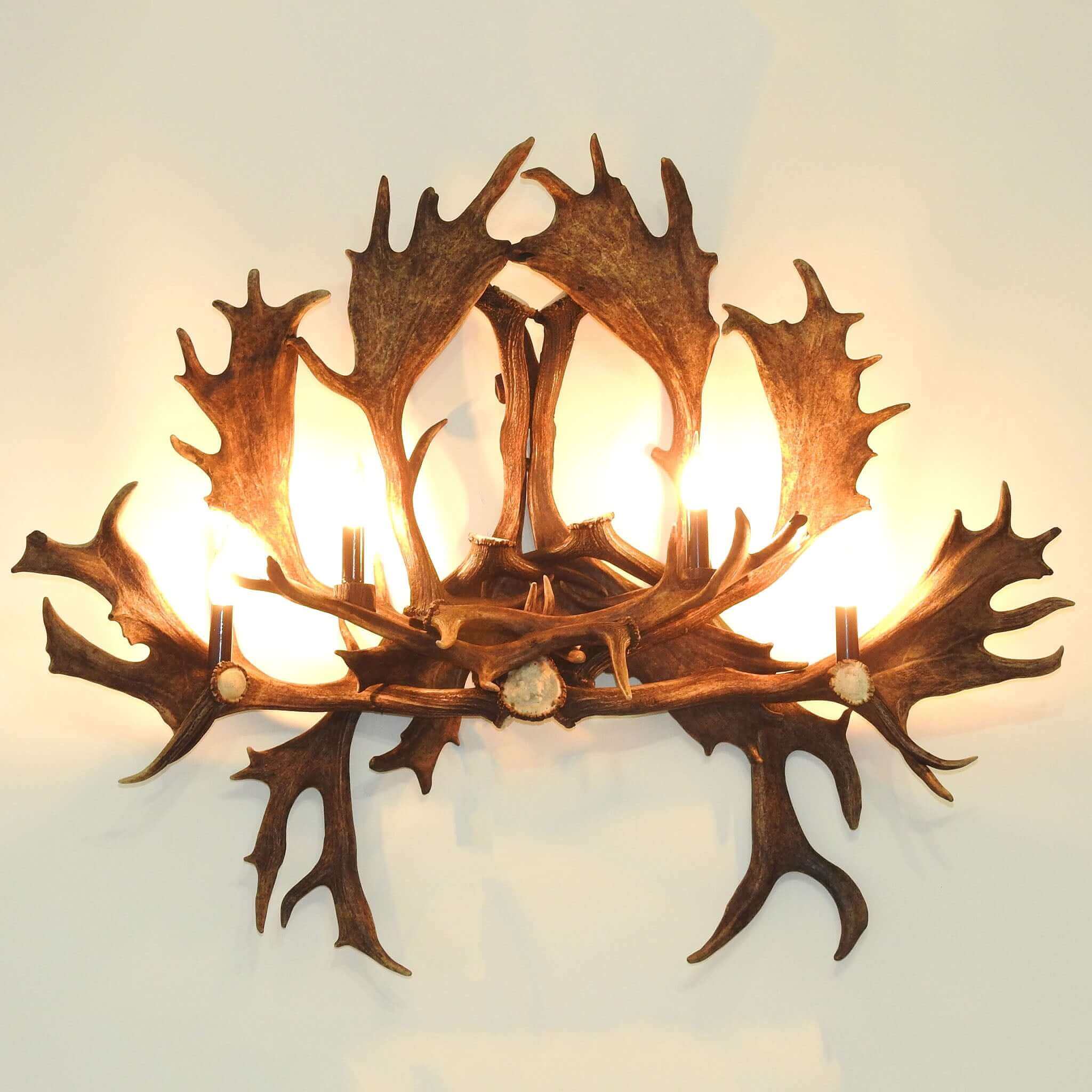 Big antler sconce