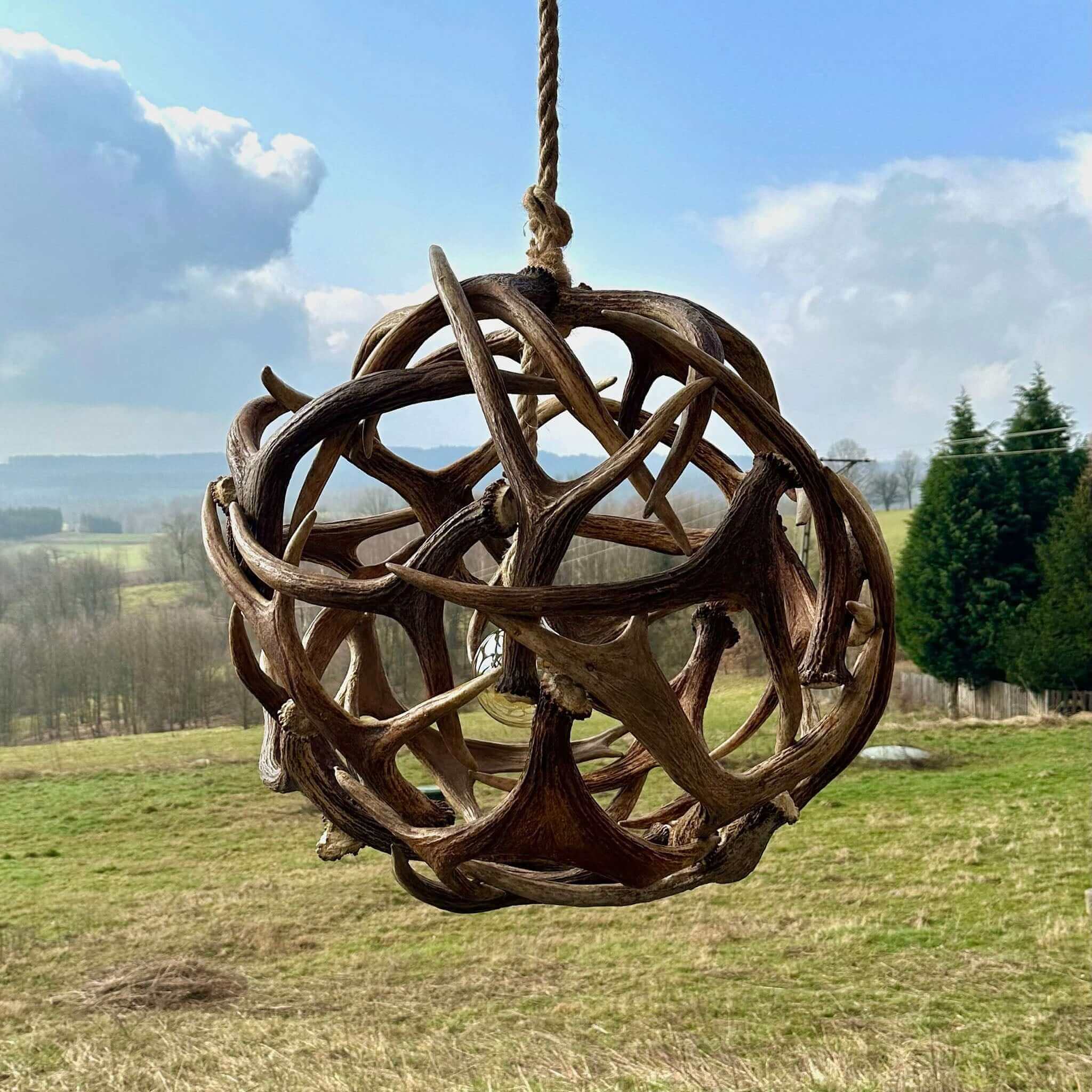 Real moose antler ball chandelier