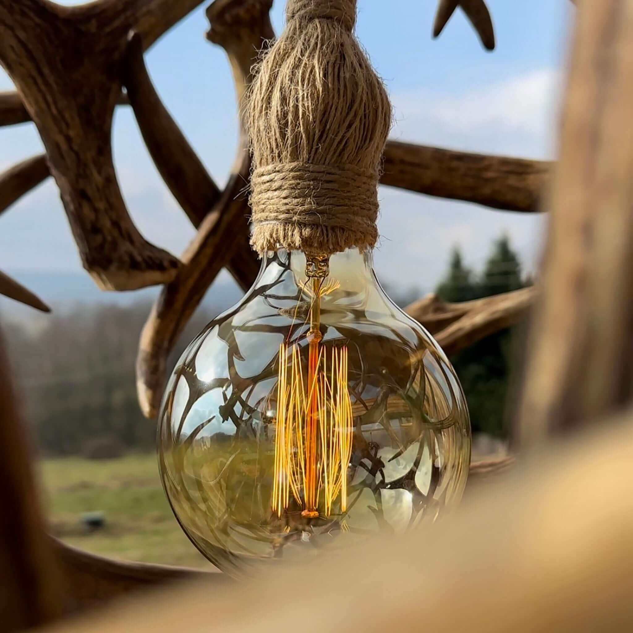 Real moose antler ball chandelier