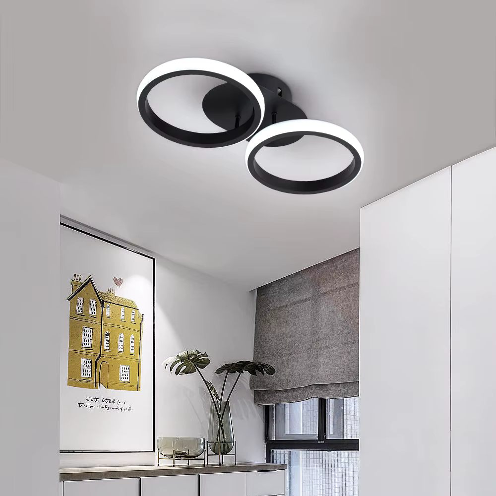 Twin ring ceiling light