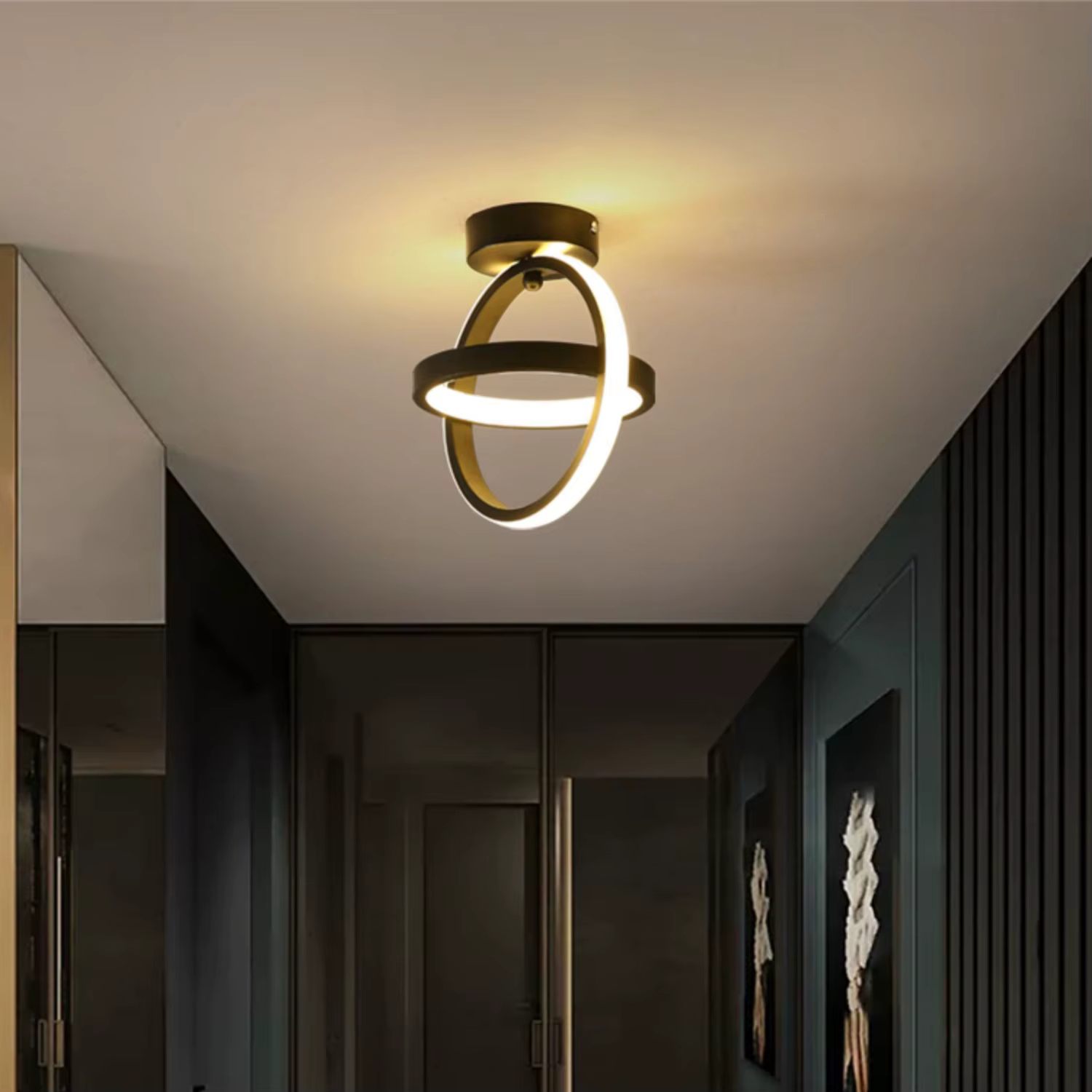 Black ring ceiling light