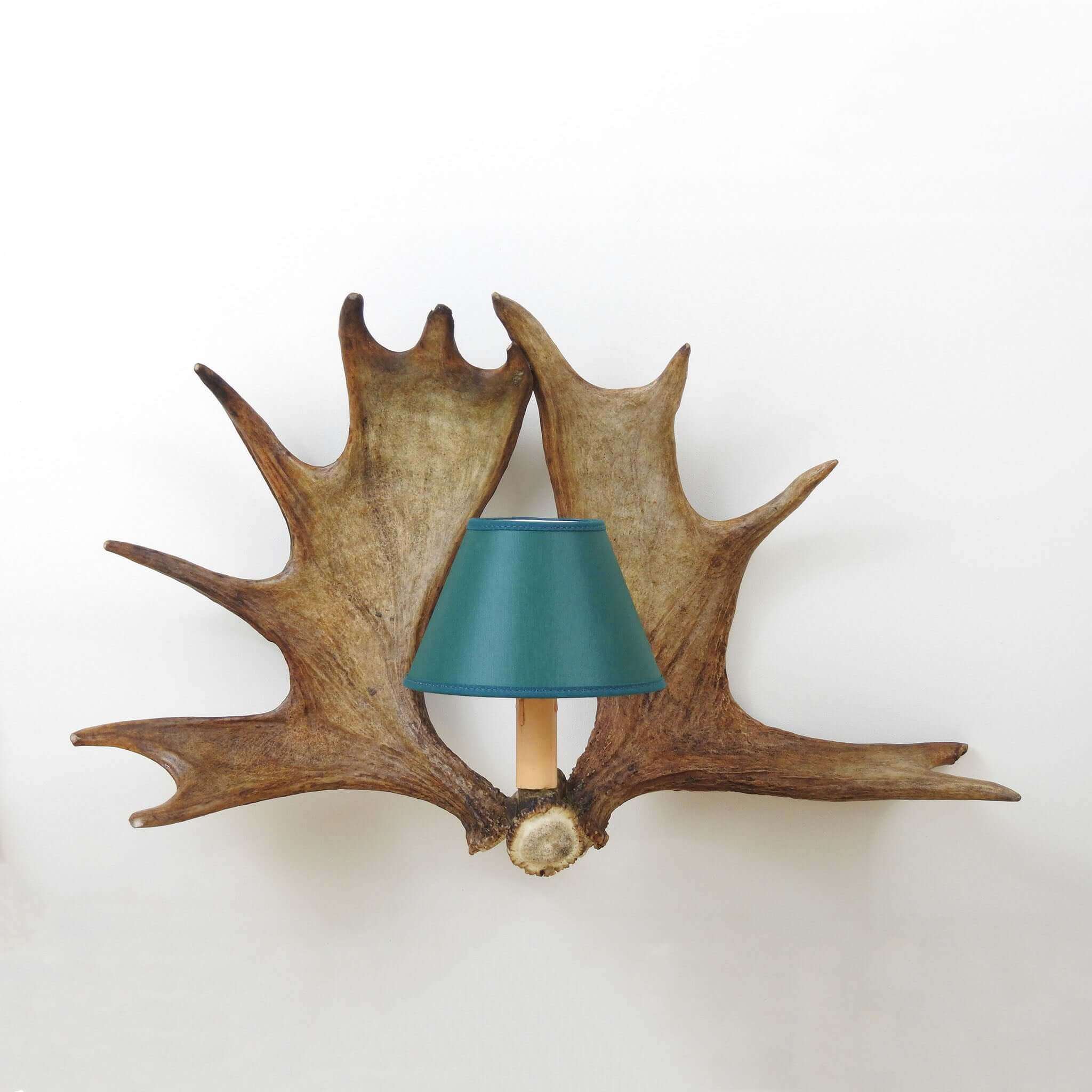 Real double moose antler sconce with shades
