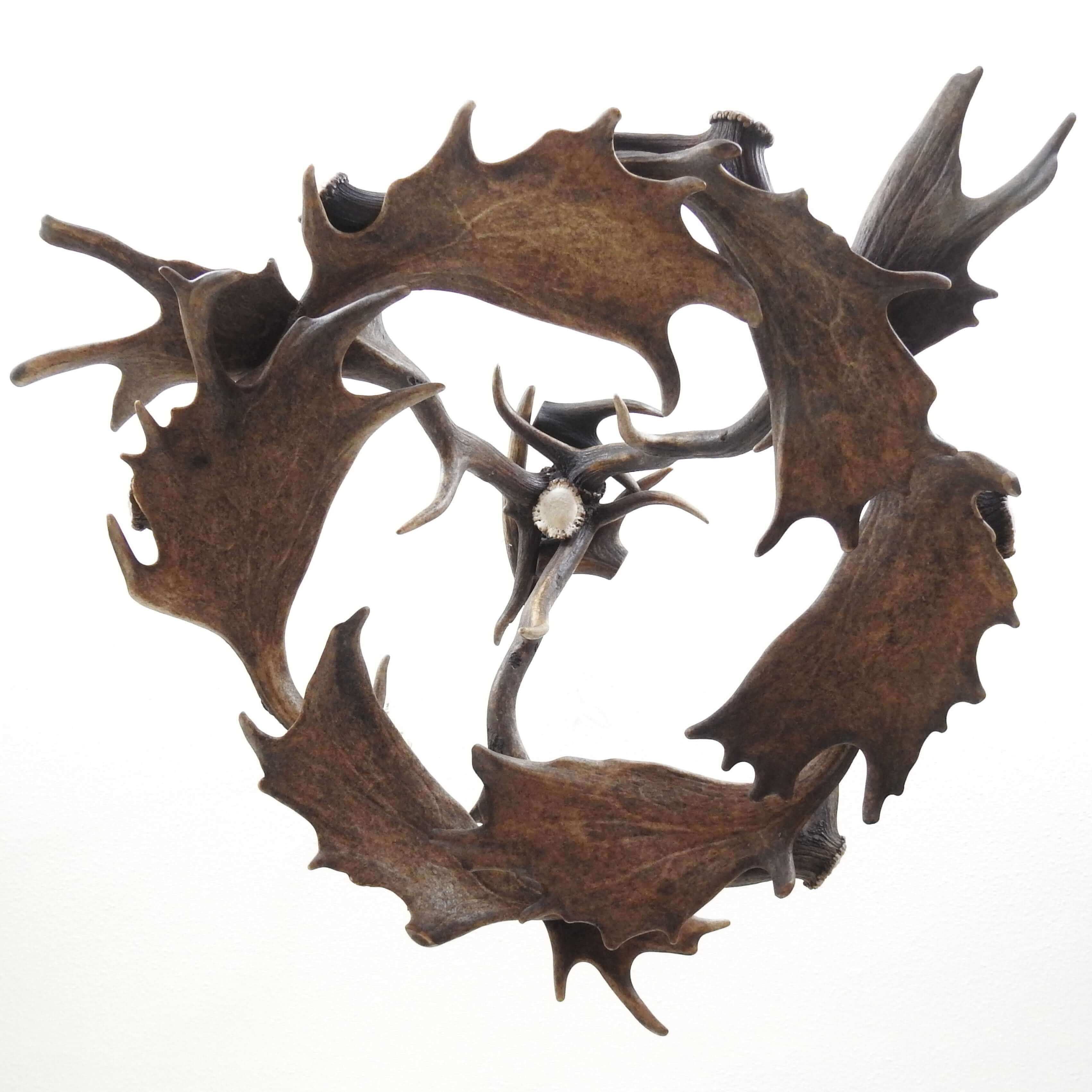 Real rustic antler chandelier with antler sockets