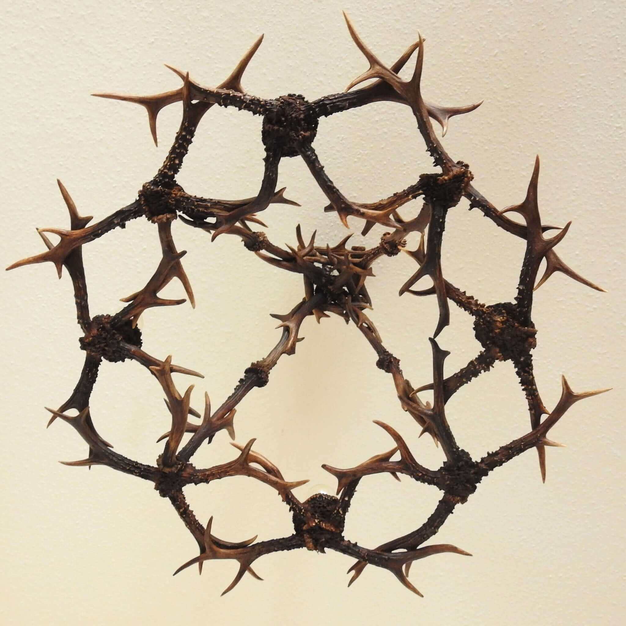 Roe deer antler chandelier for 4 lights