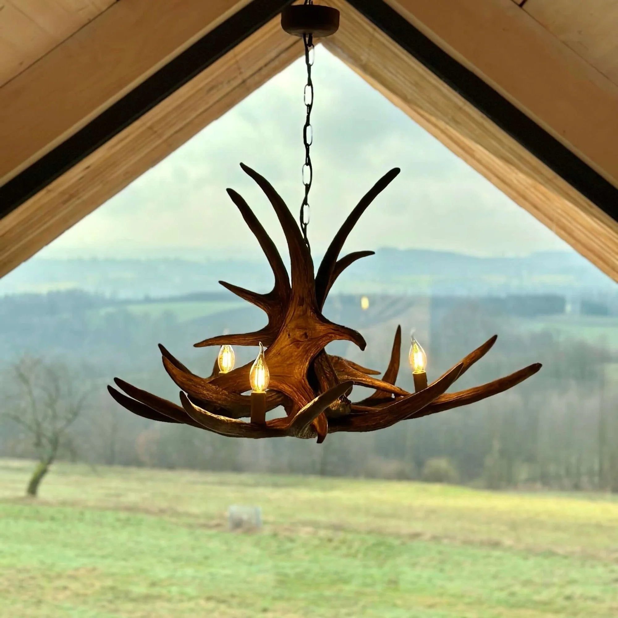 ANTLERGLOW