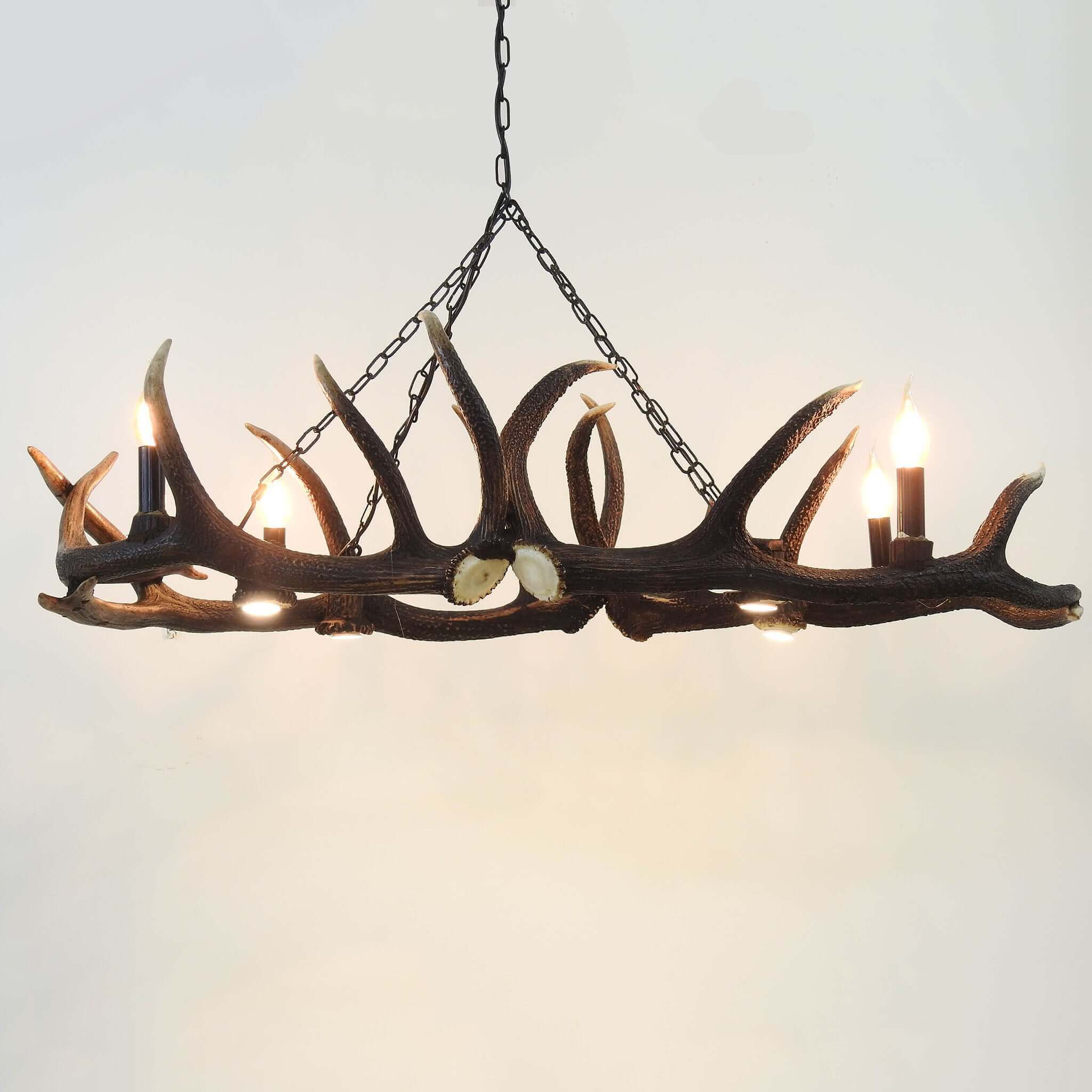 ELIPSE ANTLER Chandelier for 8 lights