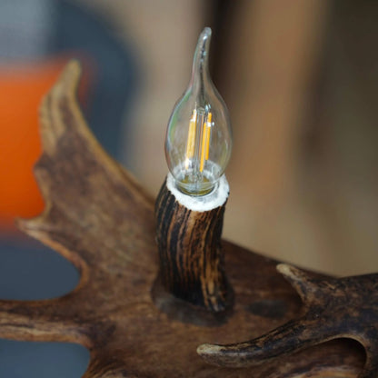 REAL LOW CEILING ANTLER Chandelier with antler sockets