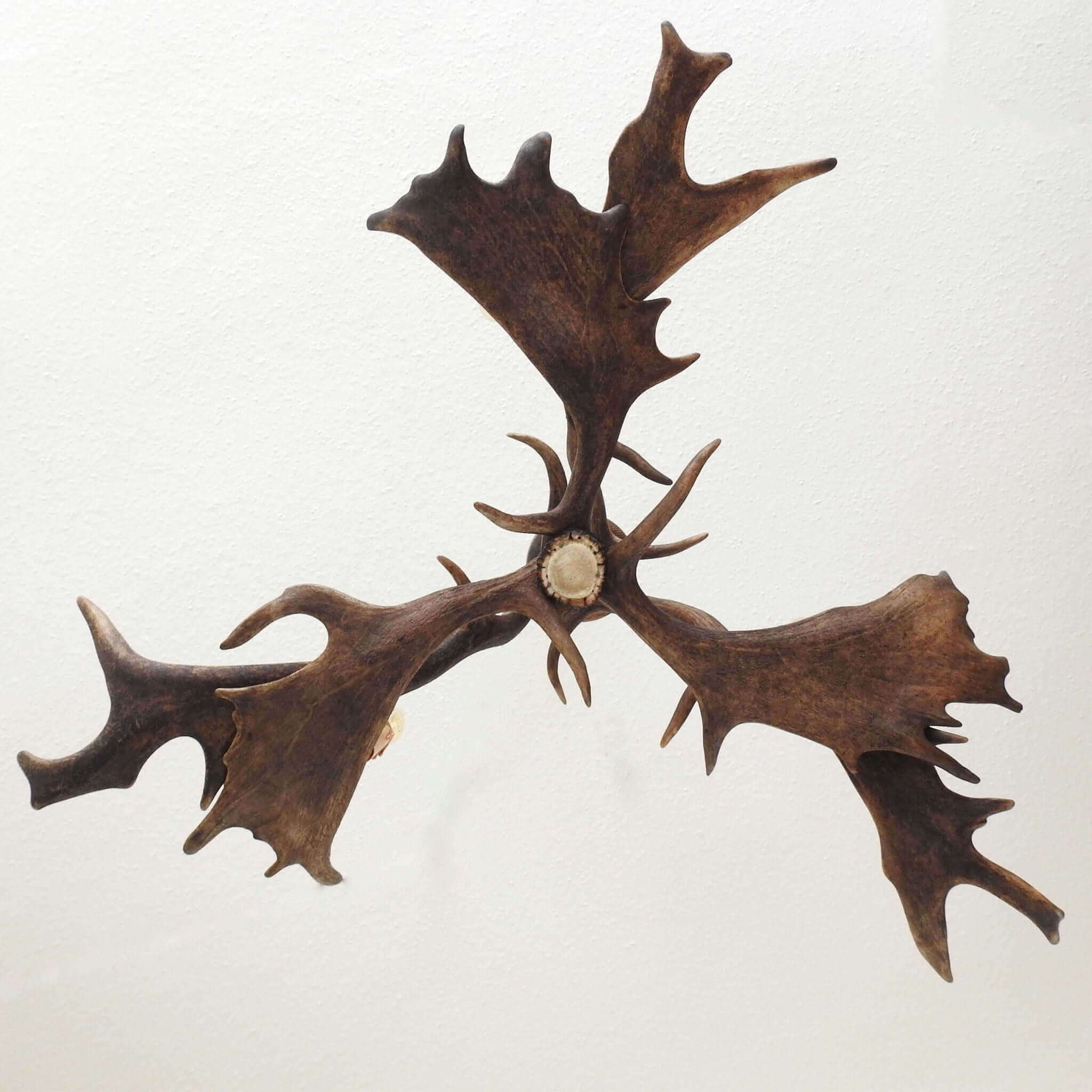 REAL LOW CEILING ANTLER Chandelier with antler sockets