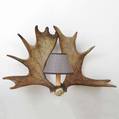 REAL DOUBLE MOOSE ANTLER Sconce with shades