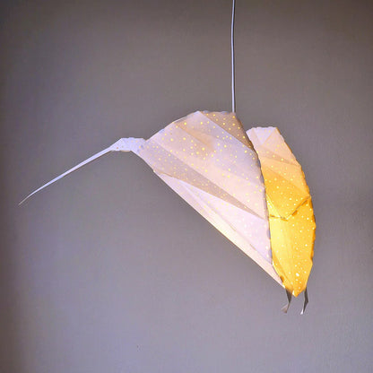 Pendant RAY lamp